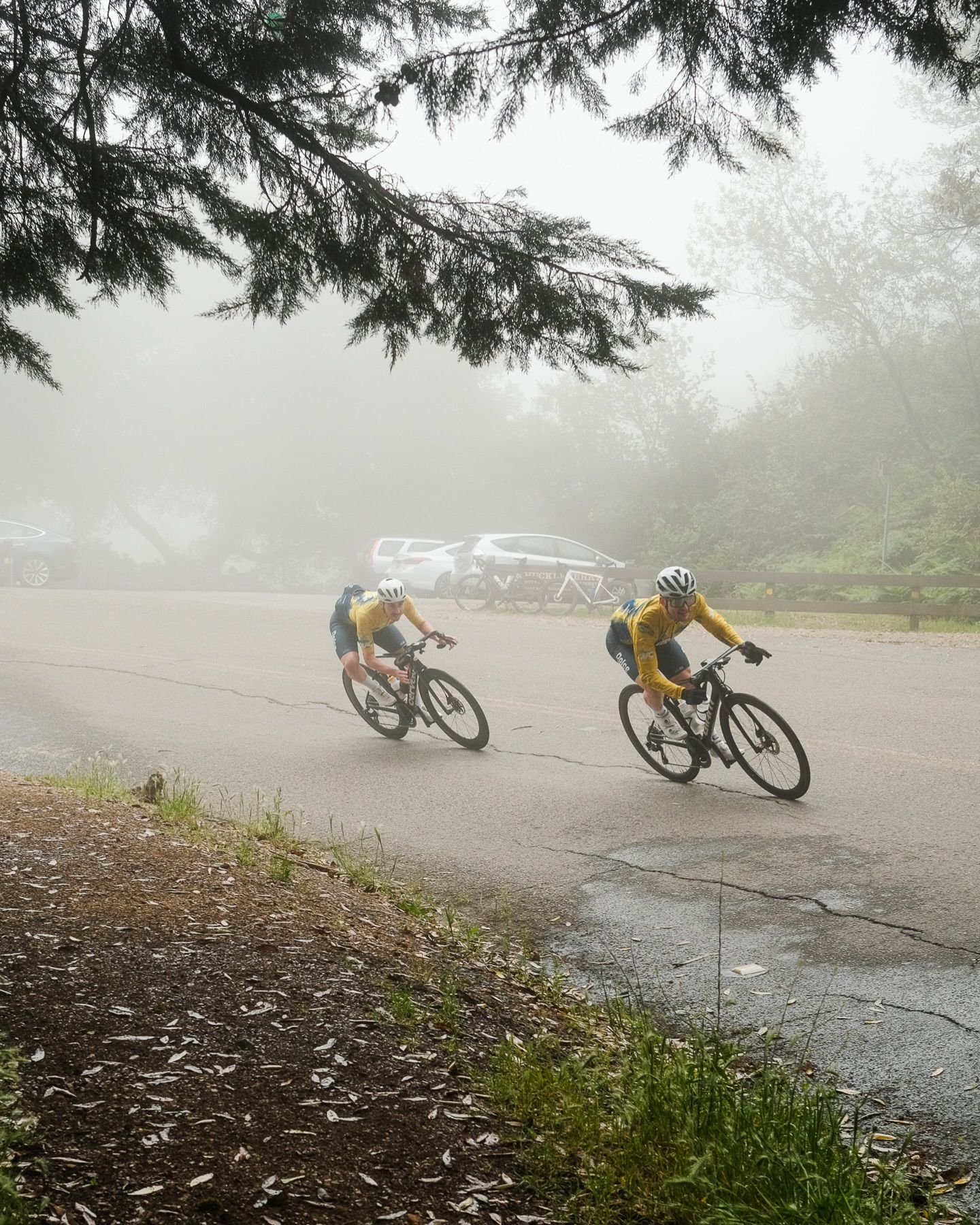 Foggy morning vibes with @dolce_vita_cycling. Moment of appreciation for our 2026 kit and sponsors 🙌
#cycling #ncnca #dolcevitacycling #racebikes